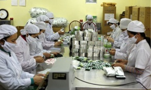 Công tác xây dựng đảng ở chi bộ Công ty Cổ phần Dược phẩm Yên Bái